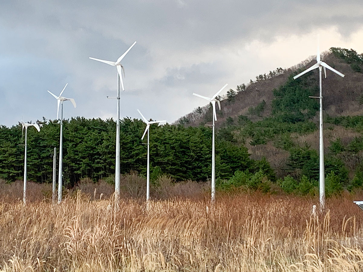 エネラ20mタワー6基